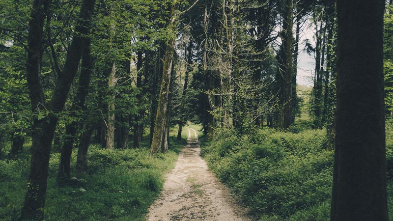 Stay the path