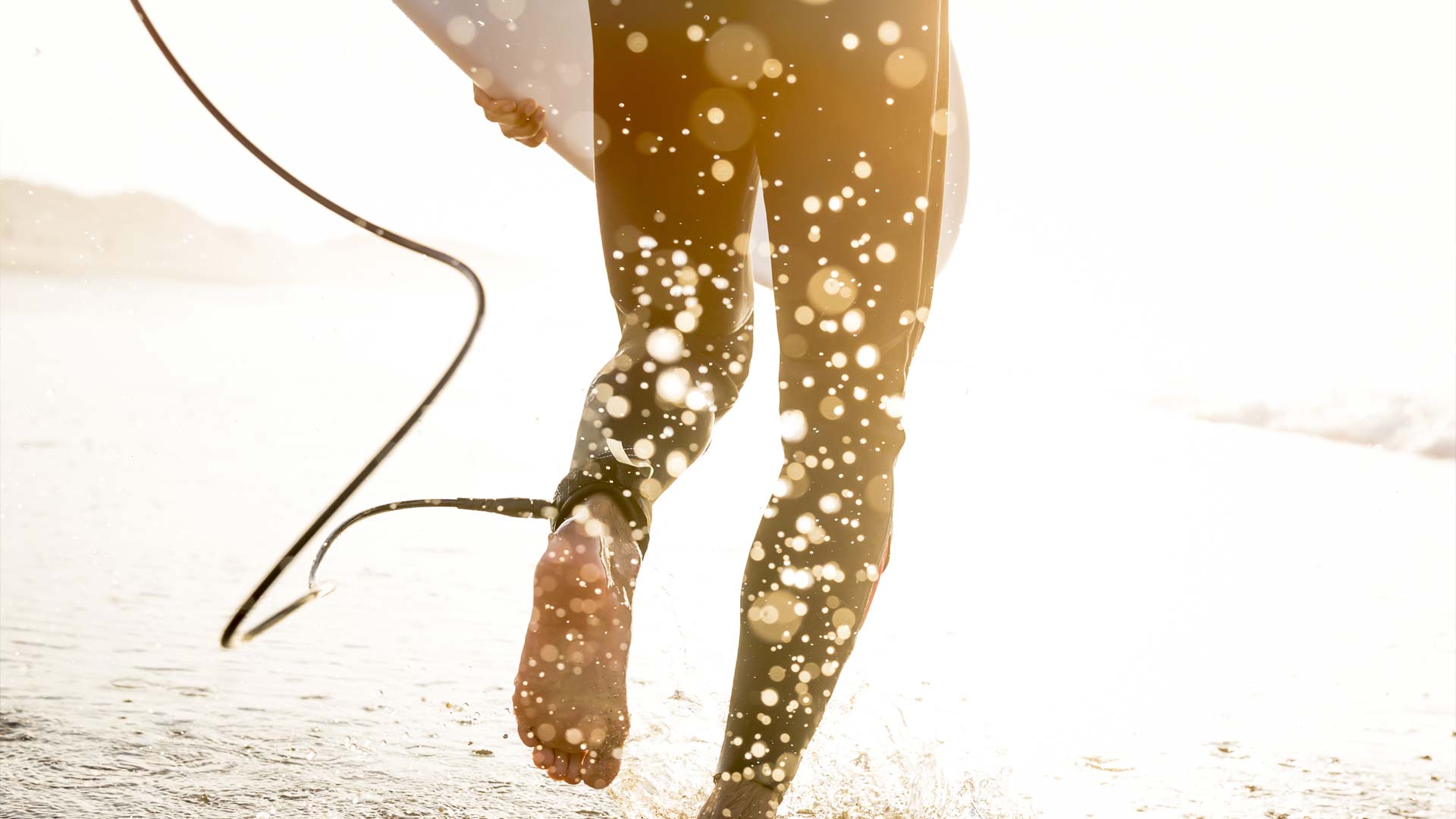 Let s catch. Let s catch. Let s catch. Let s catch. Dobutsu shogi in the greenwood.